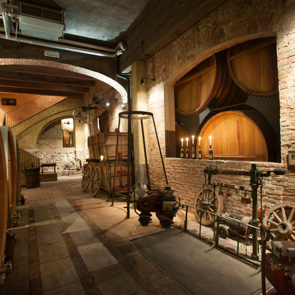 Pio Cesare Winery - Alba, Italy